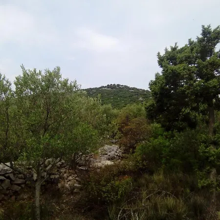 Secluded Fisherman's Radelj, - 12155 Holiday home Murter