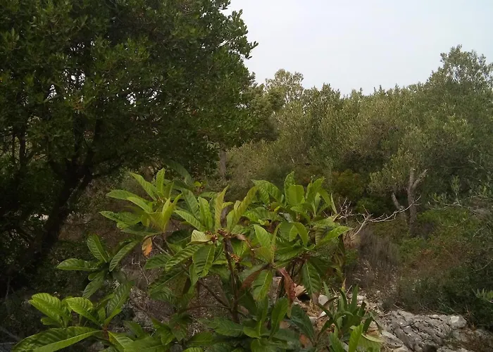 Secluded Fisherman's Radelj, - 12155