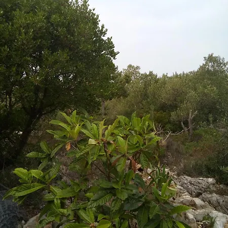 Secluded Fisherman's Radelj, - 12155