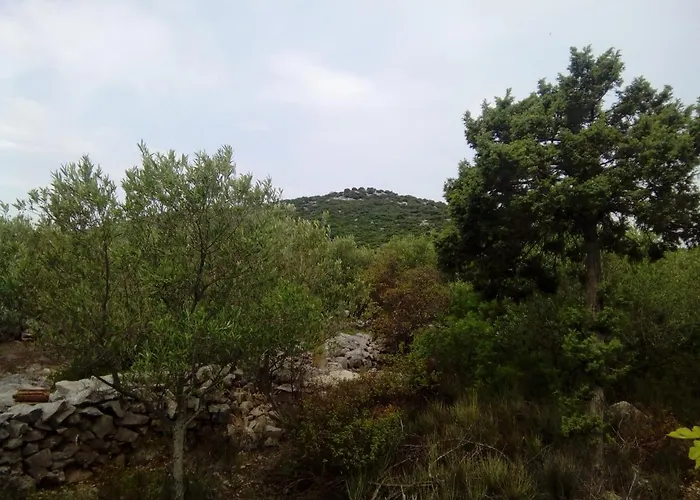 Secluded Fisherman's Radelj, - 12155 Vakantiehuis Murter